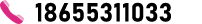 18655311033